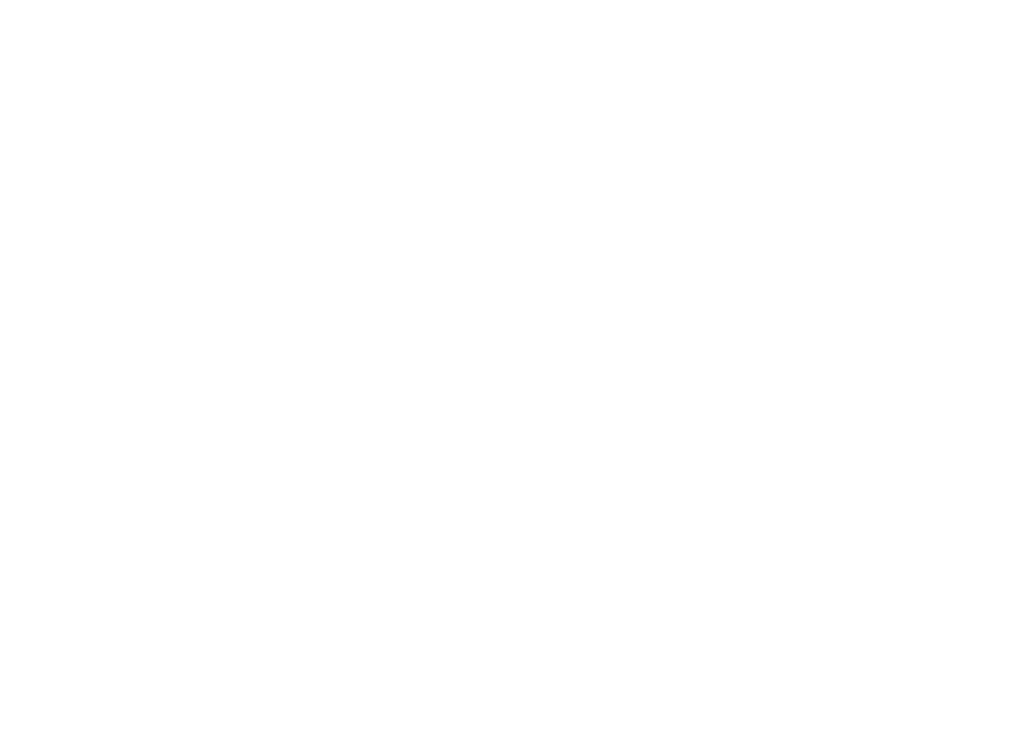 Palmetto Bible Camp White Logo