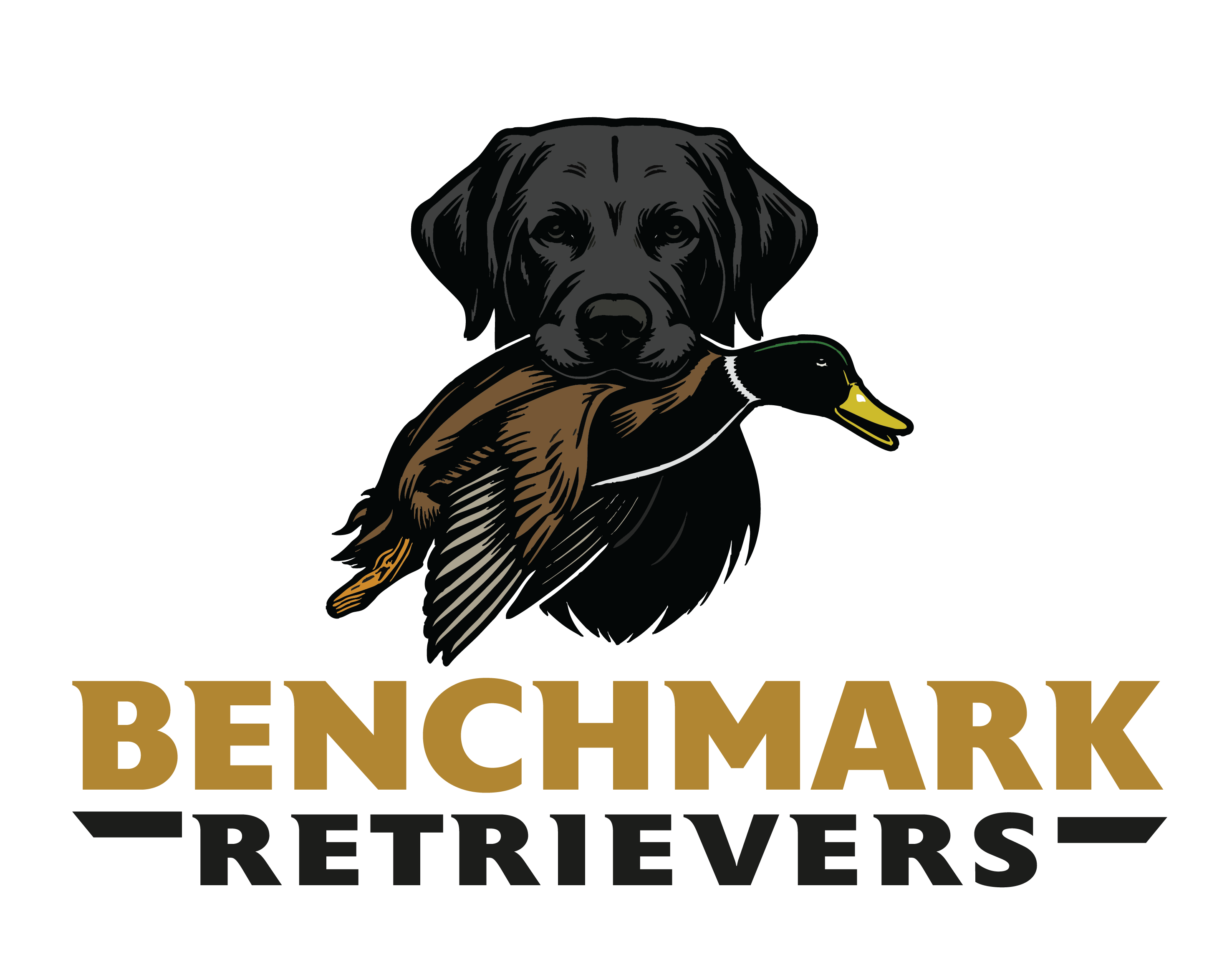 Benchmark Retrievers Logo(s)_Main - Colored